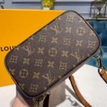 Louis Vuitton Dauphine Backpack PM Brown M45142 - Image 8
