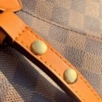 Louis Vuitton NeoNoe MM Bucket Bag Damier Ebene Canvas Safran Yellow N40213 - Image 5