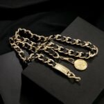 Chanel Iconic Chain Link With Black Leather And Coin Charm For Women - Image 5