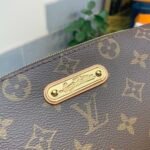 Louis Vuitton Eva 2Way Chain Monogram Canvas Shoulder Bag Brown - Image 5