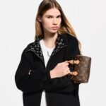 Louis Vuitton Nano Speedy Top Handle Bag 6.3in/ 16cm Brown Monogram Canvas Gold Hardware For Women M81085 - Image 2