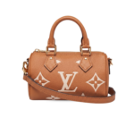 Louis Vuitton Nano Speedy Top Handle Bag 6.3in/ 16cm Brown Monogram Empreinte Gold Hardware For Women