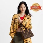 [True-to-ORIGINAL] Louis Vuitton OnTheGo PM Tote Bag 9.8in/ 25cm Brown Gold Hardware For Women - Image 2