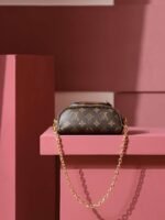 Louis Vuitton Mini Bumbag Shoulder 6.7in/ 17cm Brown Gold Hardware For Women M82335 - Image 2
