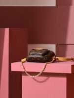 Louis Vuitton Mini Bumbag Shoulder 6.7in/ 17cm Brown Gold Hardware For Women M82335 - Image 9