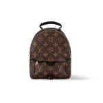 Louis Vuitton Palm Springs Mini Backpack For Women M44873- 8.7 in/ 22 cm