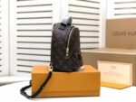 Louis Vuitton Palm Springs Mini Monogram Canvas M44873 - Image 5