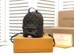 Louis Vuitton Palm Springs Mini Monogram Canvas M44873 - Image 8
