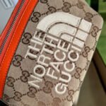 Gucci The North Face x Gucci Belt Bag Beige And Ebony Original GG Canvas 650299 GY5UN 8895 - Image 5