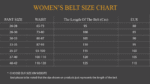 Chanel Quilted Belt With Double C Buckle Black with Gold mix Black Hardware Women Belt - Image 8