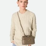 Bottega Veneta Bang Bang Vanity Case 9.1in/ 23cm Pinecone Gold Hardware For Women 789109V3IV12355 - Image 3