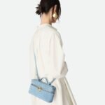 Bottega Veneta Bang Bang Vanity Case 8.7in/ 22cm Ice Gold Hardware For Women 789109V1QE71729 - Image 2