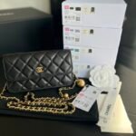 Chanel CC Wallet On Chain Bag Black