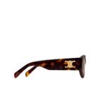 Celine Triomphe 15 Sunglasses In Acetate Dark Havana - 4S308CPLB.19DT - Image 3
