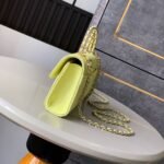 Chanel Flap Bag Phone Holder With Chain Crossbody 7.1in/ 18cm Yellow Gold Hardware For Women - Image 6