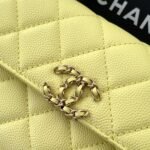 Chanel Flap Bag Phone Holder With Chain Crossbody 7.1in/ 18cm Yellow Gold Hardware For Women - Image 8