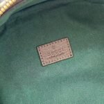Gucci Ophidia Small Backpack Beige And Dark Brown Monogram Bag For Women 30cm/12in - Image 10