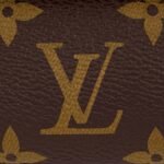 Louis Vuitton Wallet on Chain Ivy Brown For Women 9,3in/23,5cm M81911 - Image 5