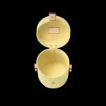 Louis Vuitton Astor Bag Chic And Yellow For Women M24099- 14.2 Cm/ 5.5 Inches - Image 5