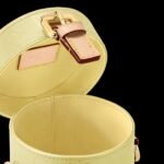Louis Vuitton Astor Bag Chic And Yellow For Women M24099- 14.2 Cm/ 5.5 Inches - Image 4