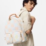 Louis Vuitton Backpack Multipocket White For Men N40735 11.8in/30cm - Image 2