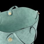 Louis Vuitton Blossom PM Bag For Women 7.8 Inches/ 20 Cm - M24930 - Image 4