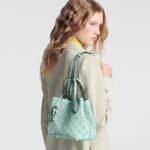 Louis Vuitton Blossom PM Bag For Women 7.8 Inches/ 20 Cm - M24930 - Image 2