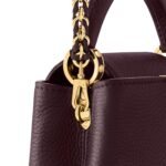 Louis Vuitton Capucines Mini Top Handle Bag Wine Red 8.3in/ 21cm Gold Hardware For Women M25893 - Image 5