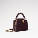Louis Vuitton Capucines Mini Top Handle Bag Wine Red 8.3in/ 21cm Gold Hardware For Women M25893 - Image 2