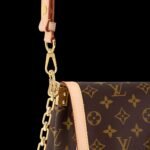 Louis Vuitton Dauphine Soft GM Bag For Women M47149- 28 Cm/ 11 Inches - Image 8