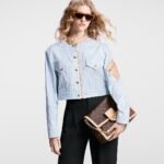 Louis Vuitton Dauphine Soft GM Bag For Women M47149- 28 Cm/ 11 Inches - Image 2