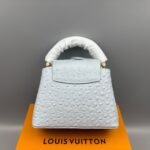 Louis Vuitton LV x TM Capucines Ostrich Mini Top Handle Bag 8.3in/21cm Baby Blue Gold Hardware For Women M13830 - Image 3