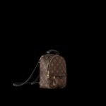 Louis Vuitton Palm Springs Mini Backpack For Women M44873- 8.7 in/ 22 cm - Image 6