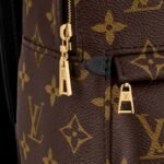 Louis Vuitton Palm Springs Mini Backpack For Women M44873- 8.7 in/ 22 cm - Image 7