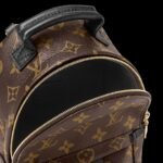 Louis Vuitton Palm Springs Mini Backpack For Women M44873- 8.7 in/ 22 cm - Image 4