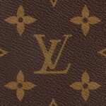 Louis Vuitton Palm Springs Mini Backpack For Women M44873- 8.7 in/ 22 cm - Image 3