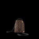 Louis Vuitton Palm Springs Mini Backpack For Women M44873- 8.7 in/ 22 cm - Image 2