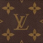 Louis Vuitton Palm Springs MM Backpack For Women M44874- 33 Cm/ 13 Inches - Image 2