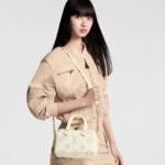 Louis Vuitton Speedy Bandouliere 20 Top Handle Bag 8in/ 20.5cm White Hardware For Women M46883 - Image 3