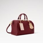 Louis Vuitton Speedy Soft 30 Top Handle Bag 11.8in/30cm Plum Gold Hardware For Women M25766 - Image 3