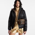 Louis Vuitton Vanity PM Monogram And Monogram Reverse Canvas By Nicolas Ghesquiere M45165 - Image 2